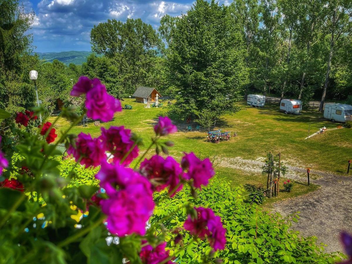 Camping Dragoske Ciofringeni Exterior photo