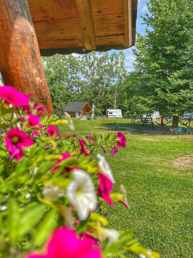Camping Dragoske Ciofringeni Exterior photo