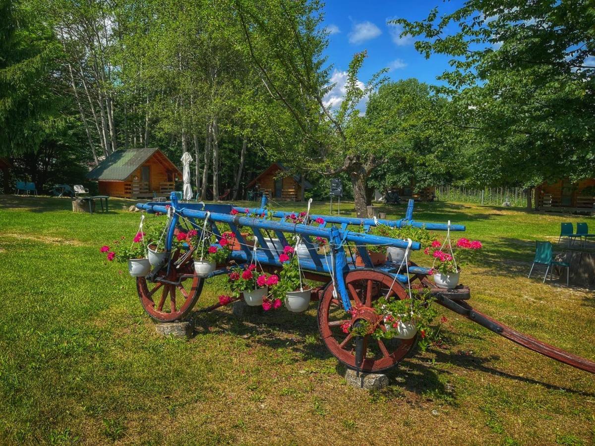 Camping Dragoske Ciofringeni Exterior photo